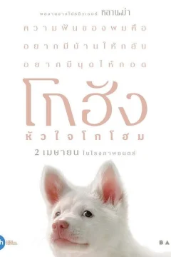 Мой пёс Гохан